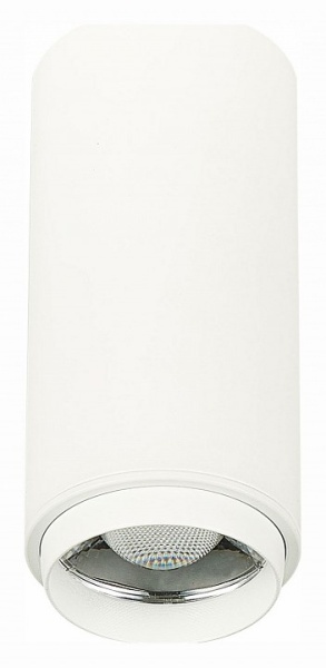 Накладной светильник ST-Luce Zoom ST600.542.10