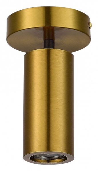 Светильник на штанге ST-Luce Talia SL1215.402.01