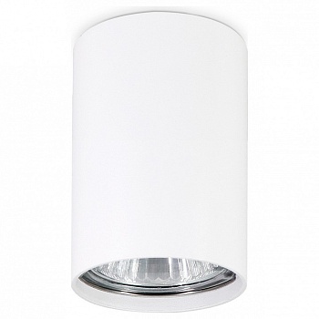 Накладной светильник Ambrella Light TN TN213101