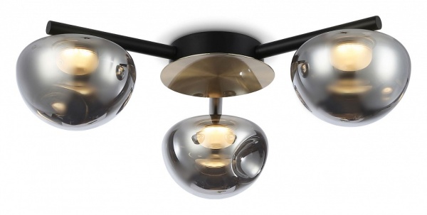 Потолочная люстра Ambrella Light LH LH12006