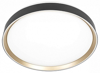 Накладной светильник Citilux BOSS CL751451G