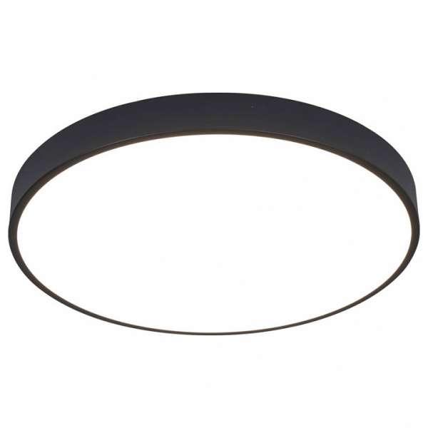 Накладной светильник Arte Lamp Arena A2672PL-1BK