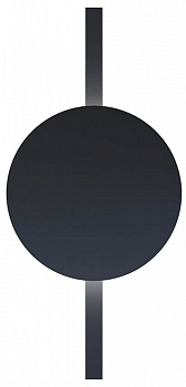 Накладной светильник Arte Lamp Rapid A1163PL-1BK