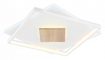 Накладной светильник Ambrella Light FL FL4790