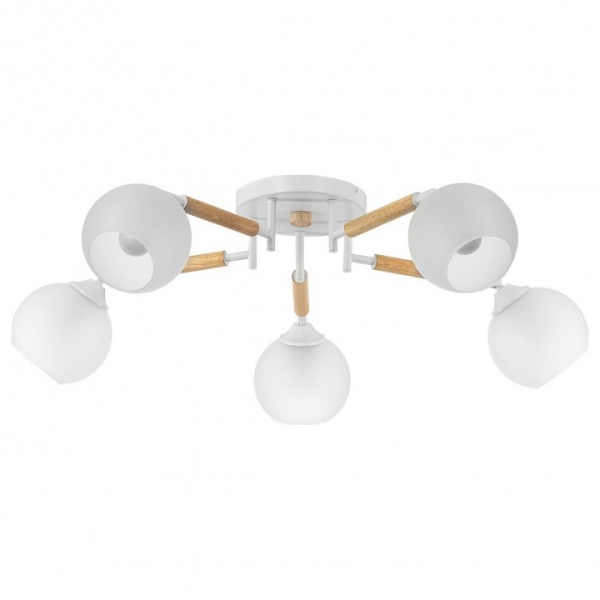 Потолочная люстра Citilux Tika CL133150