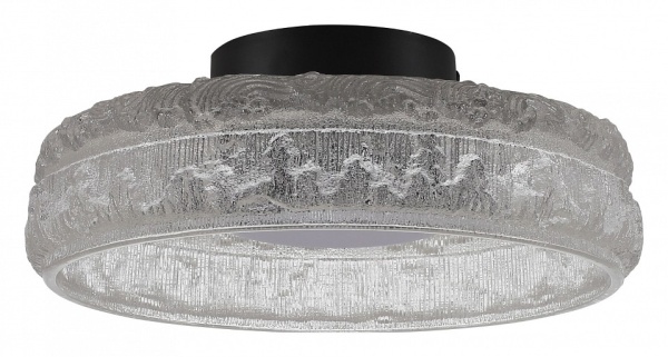 Накладной светильник ST-Luce ANTIKE SL6143.402.01