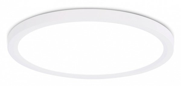 Накладной светильник Ambrella Light FZ FZ1909