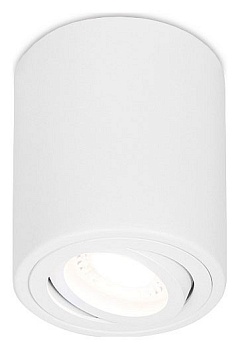 Накладной светильник Ambrella Light TN TN225