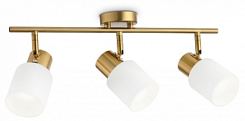 Спот Ambrella Light TR TR3972