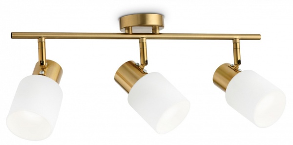 Спот Ambrella Light TR TR3972