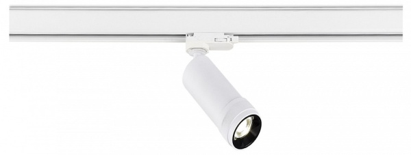 Светильник на штанге ST-Luce ST691 ST691.536.10