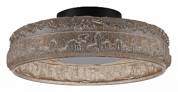 Накладной светильник ST-Luce ANTIKE SL6143.422.01