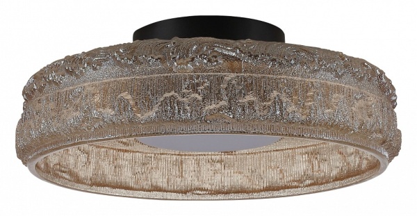 Накладной светильник ST-Luce ANTIKE SL6143.422.01