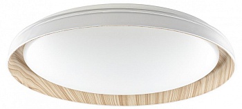 Накладной светильник Citilux MEGA CL752452G