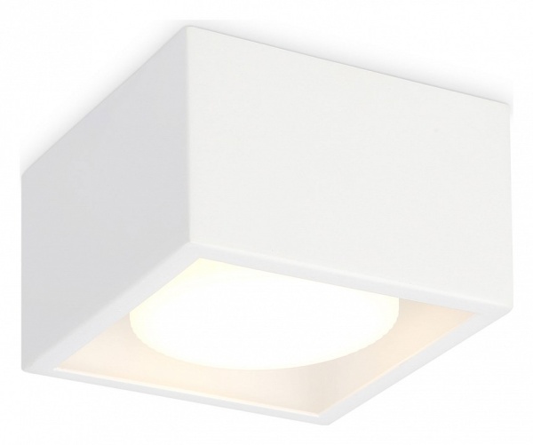 Накладной светильник Ambrella Light TN TN70825