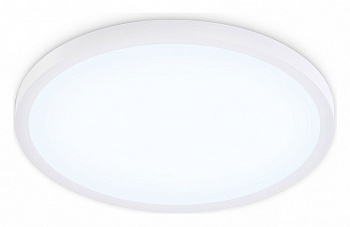 Накладной светильник Ambrella Light FZ FZ1955