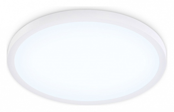 Накладной светильник Ambrella Light FZ FZ1955