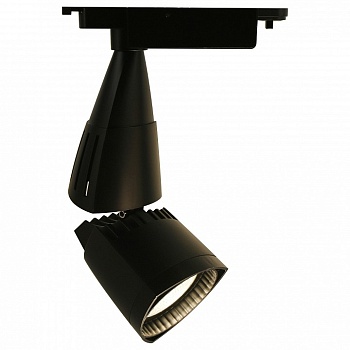 Светильник на штанге Arte Lamp 3830 A3830PL-1BK
