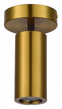 Светильник на штанге ST-Luce Talia SL1215.402.01