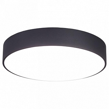 Накладной светильник Citilux Тао CL712242N