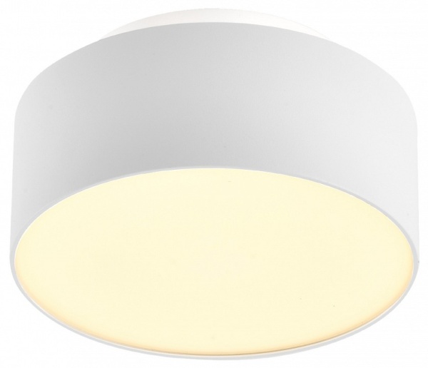 Накладной светильник ST-Luce ST166 ST166.542.17