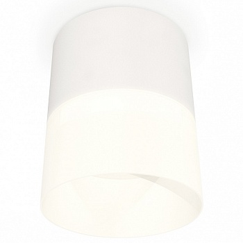 Накладной светильник Ambrella Light XS XS8110002