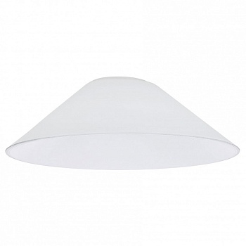 Плафон стеклянный Citilux Эдисон CL450.12