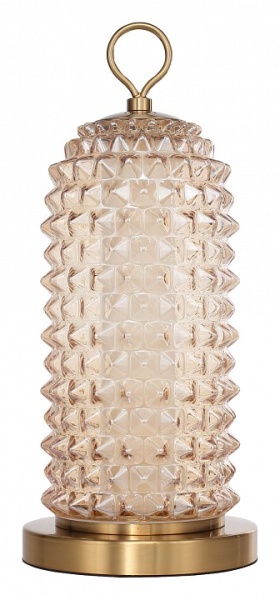 Настольная лампа декоративная ST-Luce SAGUARO SL6144.304.01