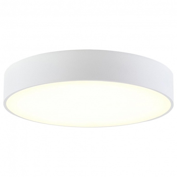 Накладной светильник Citilux Тао CL712240N