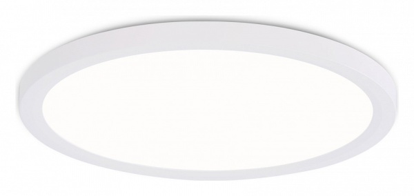 Накладной светильник Ambrella Light FZ FZ1907