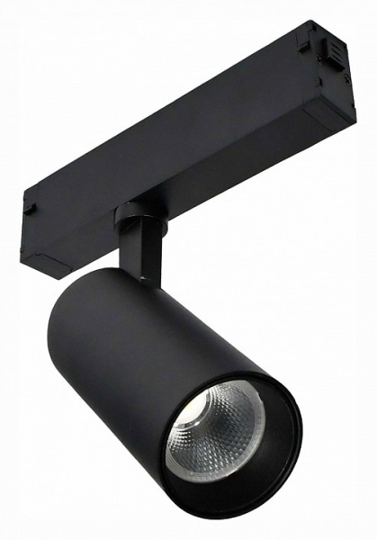 Светильник на штанге ST-Luce SKYLINE 220 ST660.446.10