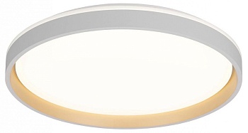 Накладной светильник Citilux ENZO CL753510G