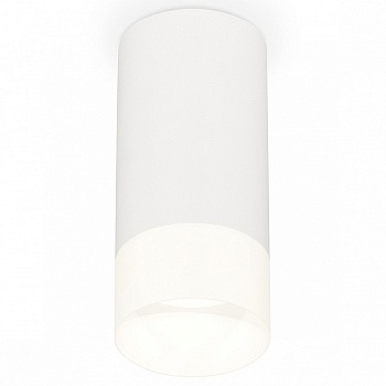 Накладной светильник Ambrella Light XS XS8161003