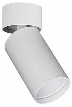 Накладной светильник ST-Luce ST171 ST171.502.01