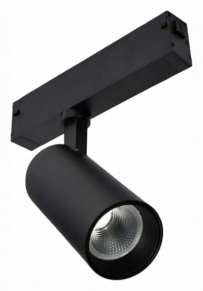 Светильник на штанге ST-Luce Skyline 220 ST660.436.10