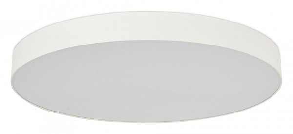 Накладной светильник ST-Luce ST601 ST601.542.18