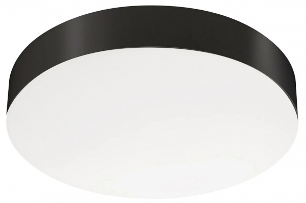 Накладной светильник Arlight IM-FLOWER-EMERGENCY 041106