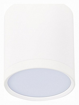 Накладной светильник ST-Luce Rene ST113.542.05