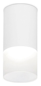 Накладной светильник Ambrella Light TN TN231