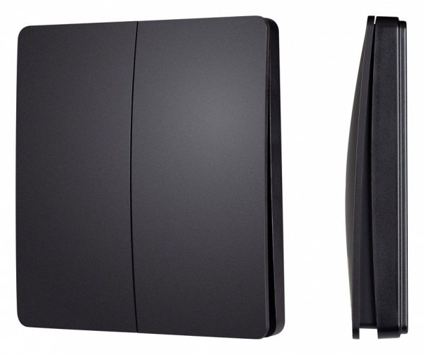 Выключатель беспроводной двухклавишный Arlight INTELLIGENT 048257