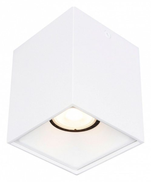 Накладной светильник ST-Luce ST168 ST168.502.01