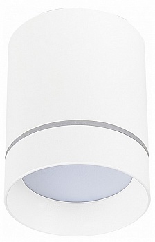 Накладной светильник ST-Luce ST115 ST115.542.12