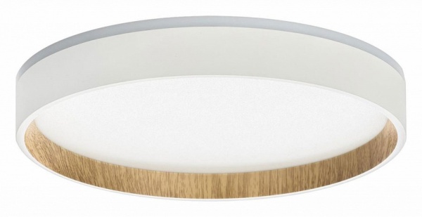 Накладной светильник Citilux Etalon CL750240