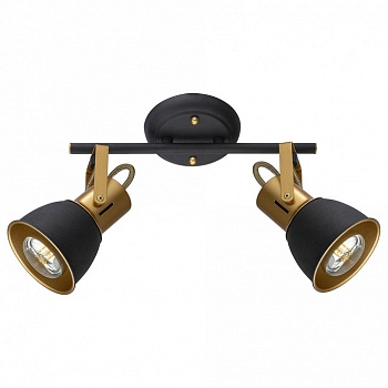 Спот Arte Lamp Jovi A1677PL-2GO